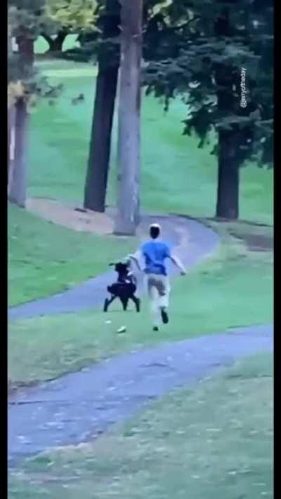 Which member of the Cart Mafia is this?