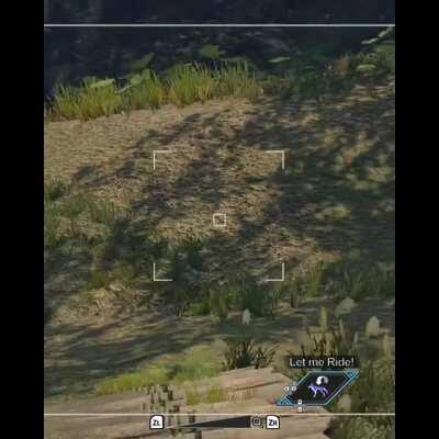 Why are the Palamutes so unresponsive sometimes?