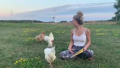 Отдохнуть не дадут на природе...