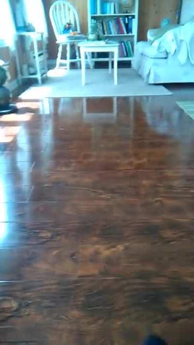 My rabbit used to slip on hardwood floors.