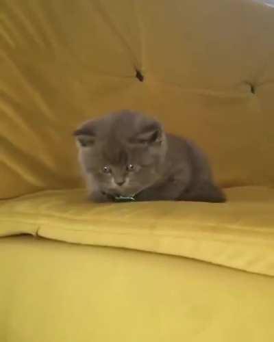 If this doesn't belong here idk what does.