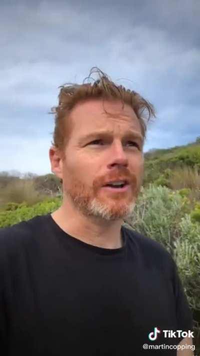 Martin coping ( the voice actor for mozzie ) has a tiktok and it's great!