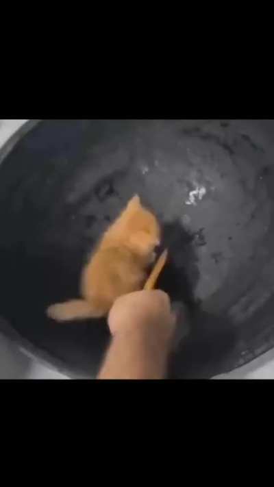 How convert any type to void