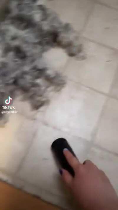 bora limpa o banheiro