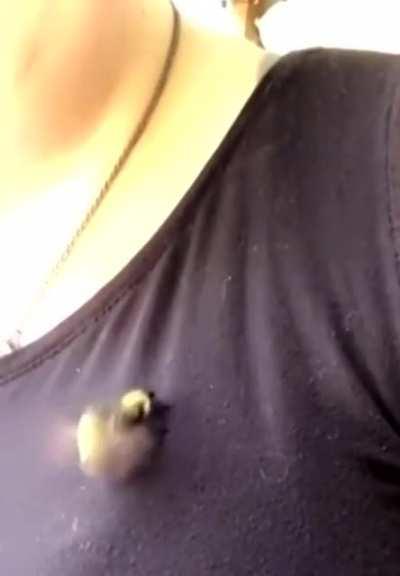 🐝➕🐝 = ❤️