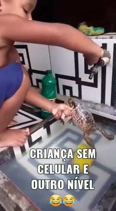 Não lave o bufus