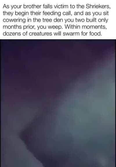 I wish there was something I could do.