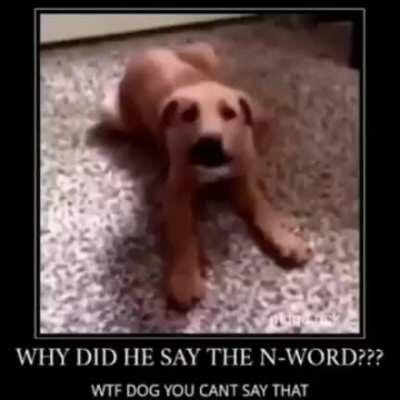 WTF DOG YOU CANT SAY THAT