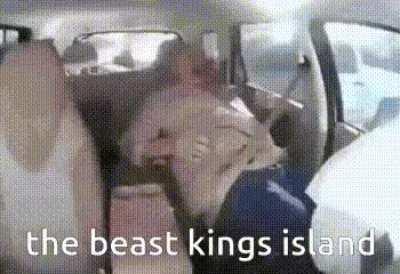 Does [fatal car crash] count as a credit?