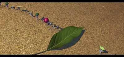 The cars when you park on the curb