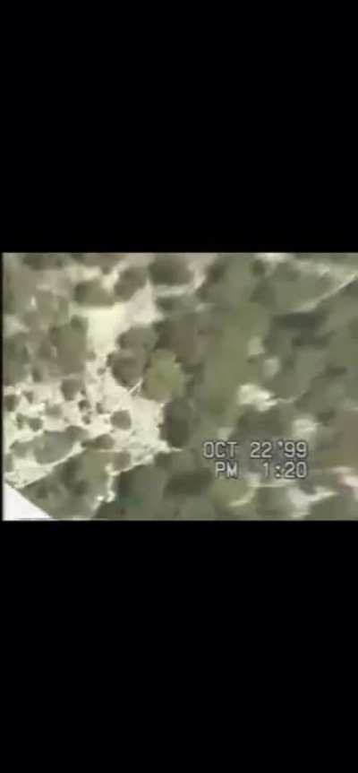 Jan Davis was a parachutist who died in a fall at Yosemite’s El Capitan in 1999. She leaped from the top of 3,200-foot El Capitan in a protest organized in response to the June 9 death of a man who parachuted off the same peak and drowned in the river bel