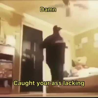 Ricegum gets caught by the feds