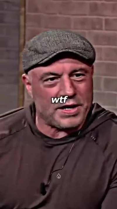 Why is everyone dressed like a mascot ??