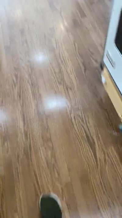 The lettuce fiend