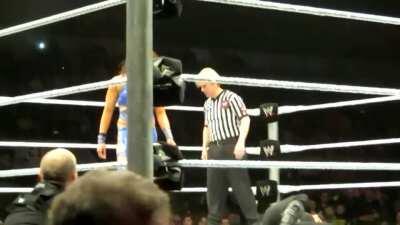 AJ Lee vs Kaitlyn vs Tamina- Live Event 2013