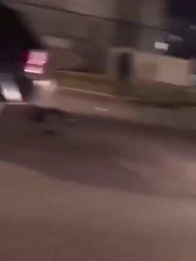 Another beautiful day in the neighborhood