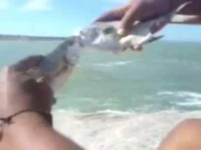 Ayyyo what fish doin?!