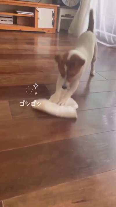 HMK the floor needs me