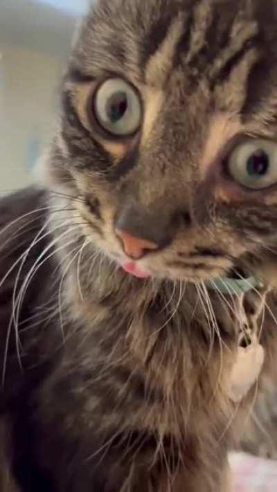 What Sorcery is this, how dare you say my name? 🤣