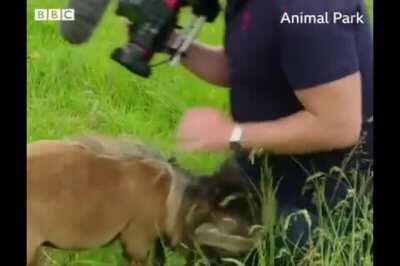 Trying to get the perfect shot