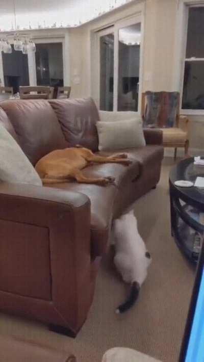 Classic shenanigans.