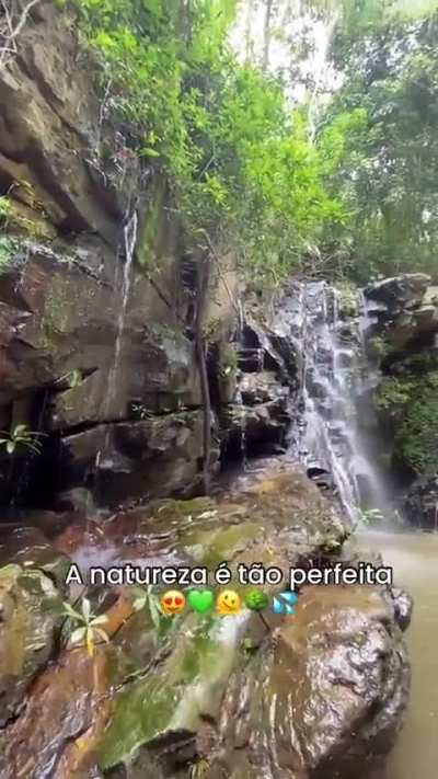 A natureza é tão perfeita