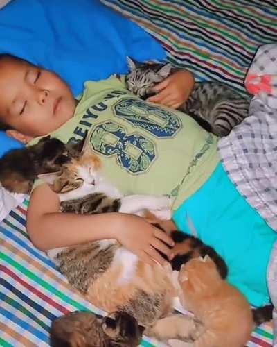 hUmAn cHild sLaiN bY LiON fAmiLy