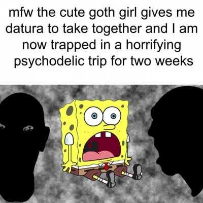 Don't mess with that plant