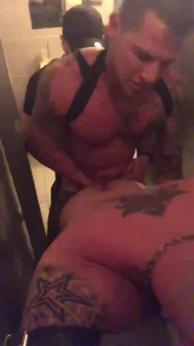 When the urge to breed takes over 