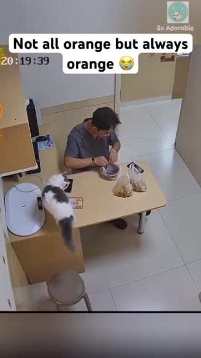 Always an orange. 🫠