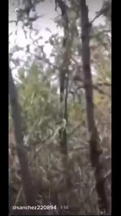 Illegal border crossers document their way into the US