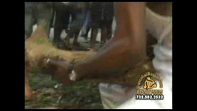 Katie going on Island adventures