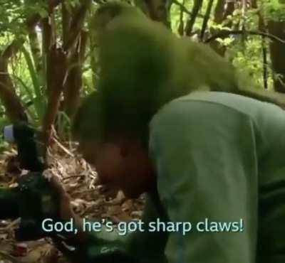 I wonder what this parrot will do.