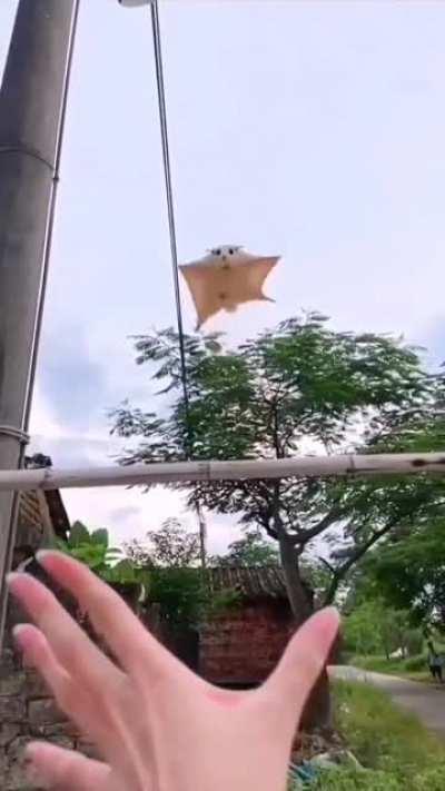 This amount of trust and cuteness ❤️