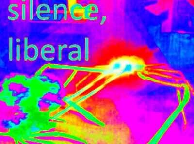 To use whenever a liberal is talking too much