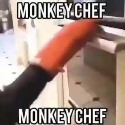 monkey