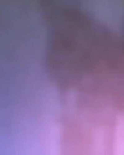 Through the portal to the feline world!