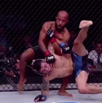 Mighty Mouse mastery