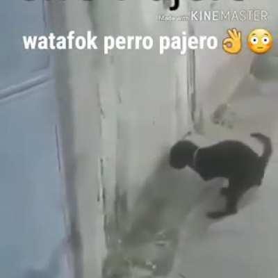 Watefok va a cumear 😳🔥😈