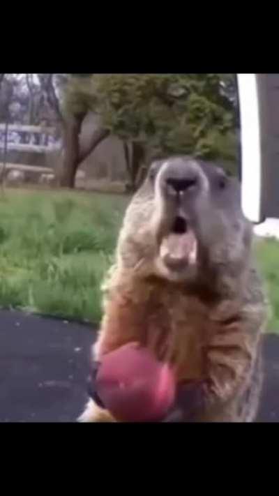 Me recuerda a cierto noruego