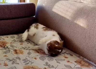 I've been trying to capture this all morning long