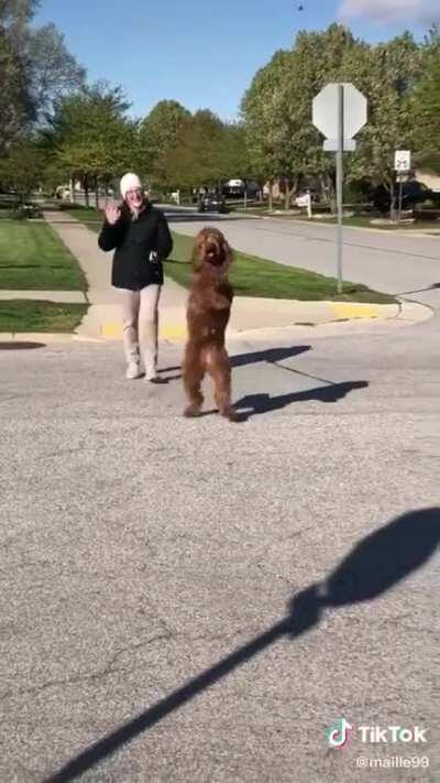 The way she crosses the street.. every time.