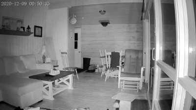 Security cam captured this at our cottage last night