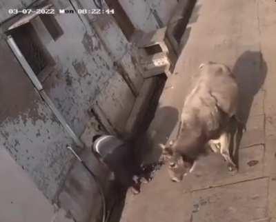 His intrusive thoughts won ! Well he started the position first !!