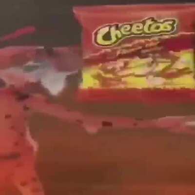 Pogga cat?? Free 100% working no jailbreak no borat