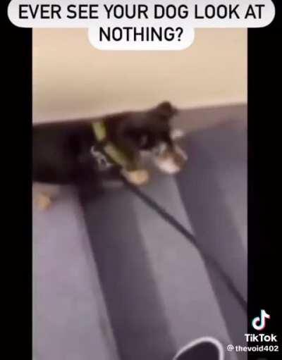 D6dyyehdhehzhhsgegy4bh3jg