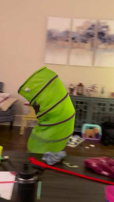 “Trash Monster” meets early demise