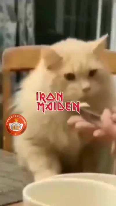 Gostas de Iron Maiden?