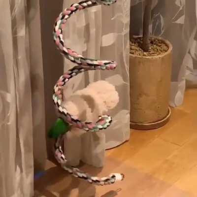 Weirdly satisfying to watch.