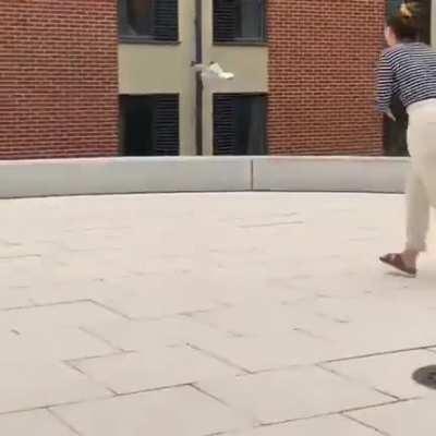 Yo I need this, sorry